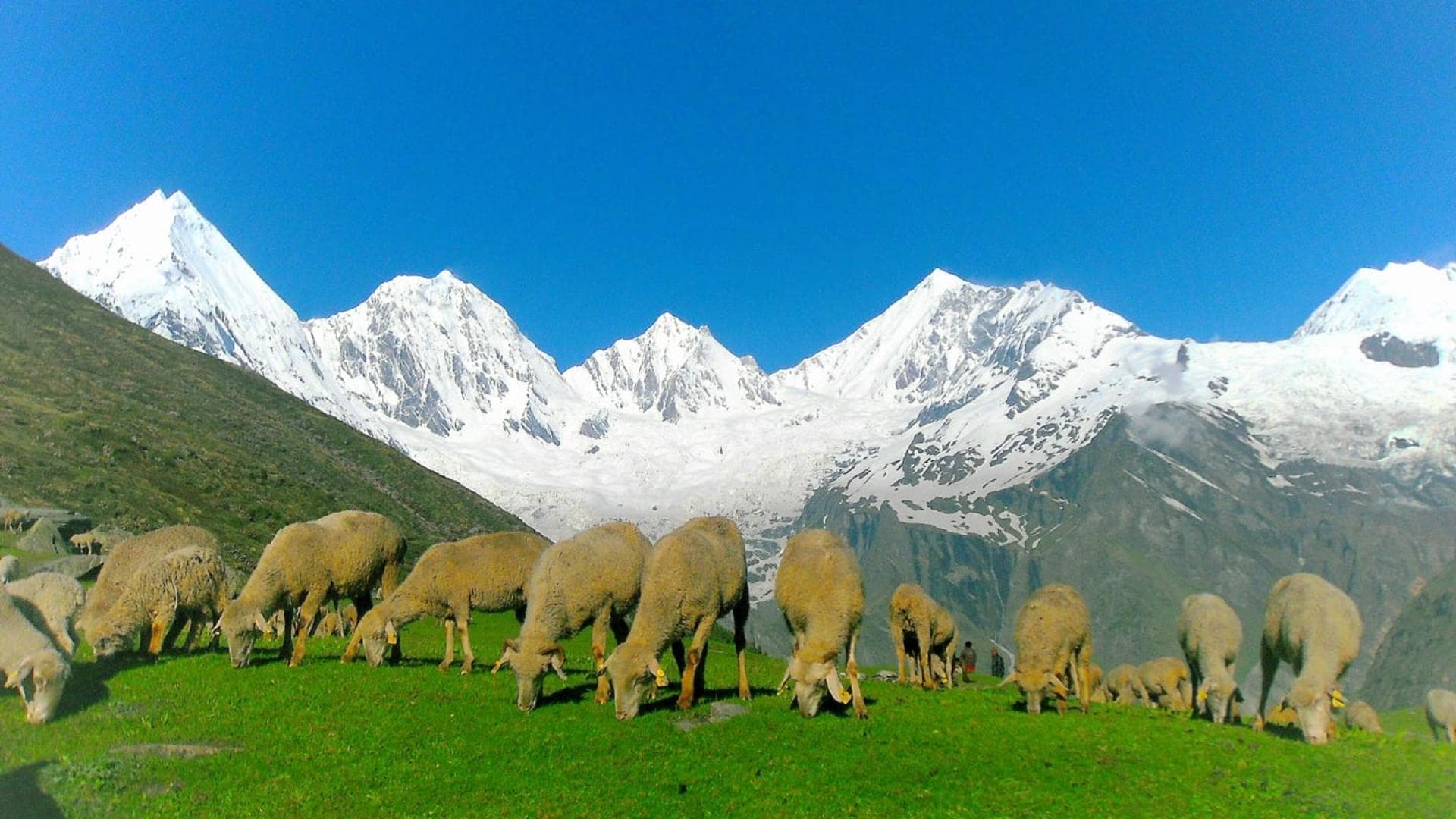 Darma Valley - The Untouched Himalayan Paradise